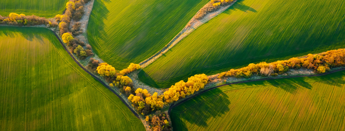 Ariel view of farmland